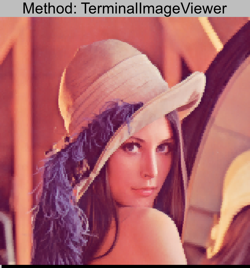 lenna.png converted using TerminalImageViewer