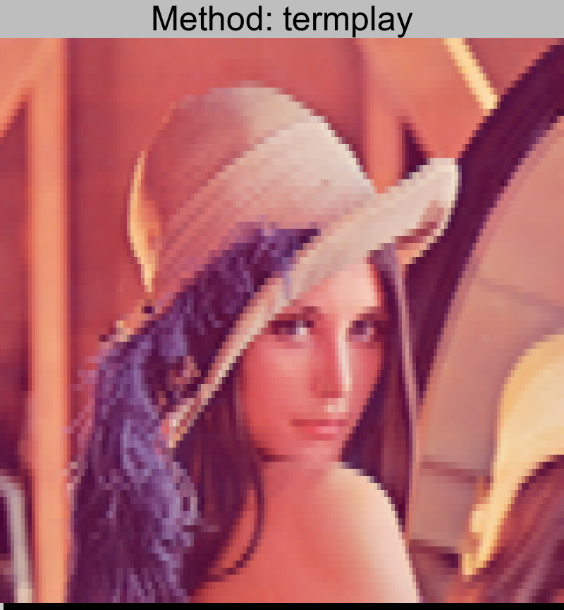 lenna.png converted using termplay